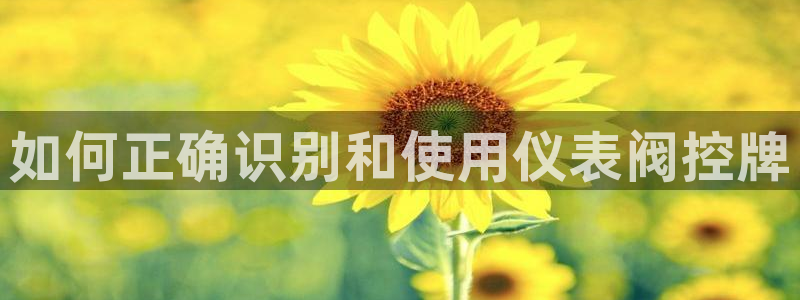 新宝gg申请账号
