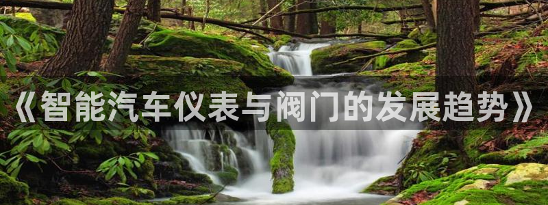 新宝gg计划