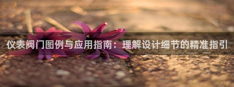 新宝gg代理注册