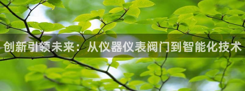 新宝gg账号
