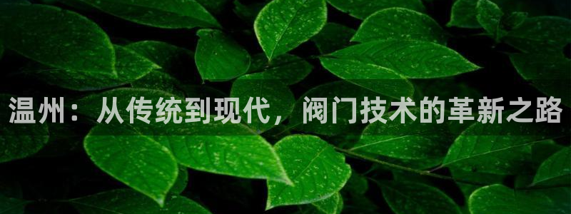 l新宝gg