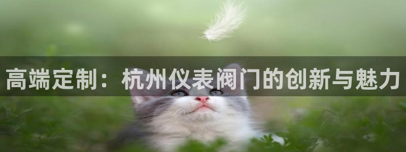 新宝gg--创