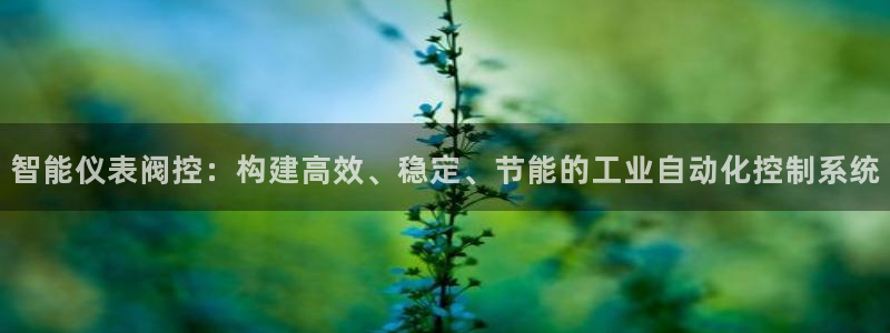 谁有新宝GG
