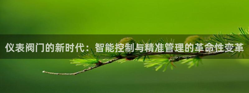 广东新宝电器gg