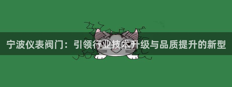 新宝GG电话