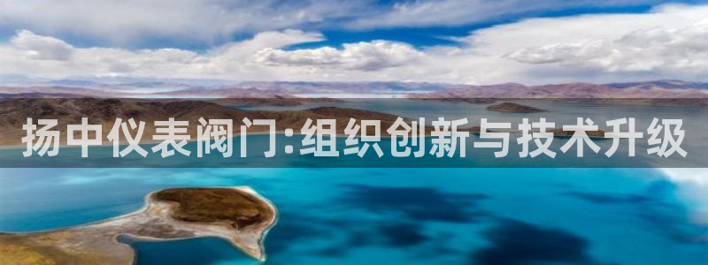 新宝gg有假吗