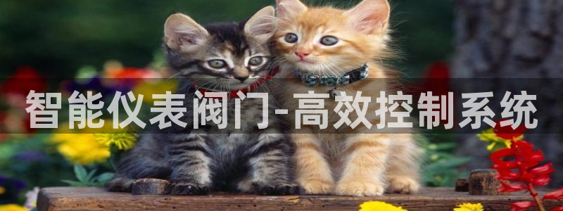 新宝gg娱乐主管q42873