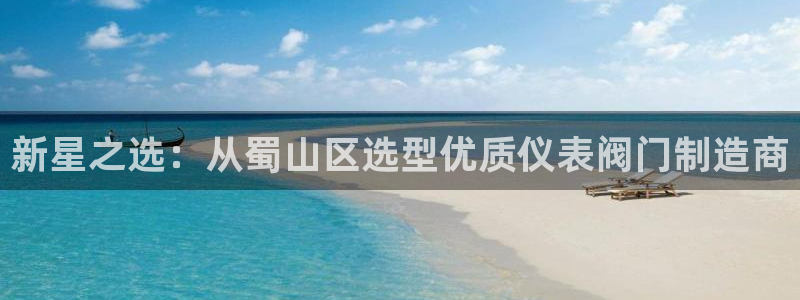 新宝gg网