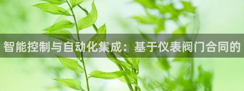 新宝gg最新章节