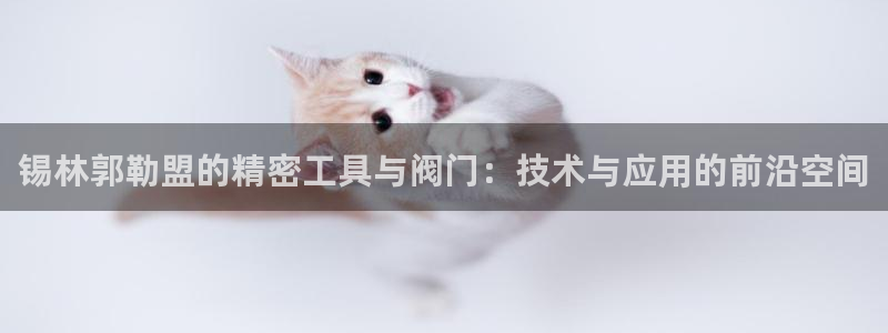 新宝gg提点