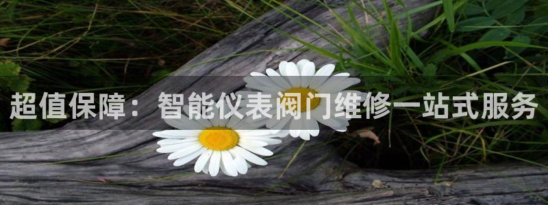 新宝gg线长