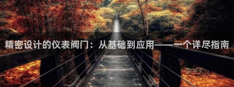 新宝GG—创造奇迹