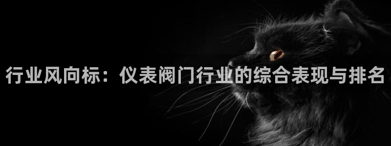 太阳gg和新宝gg