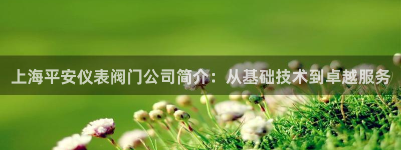 旧版新宝GG