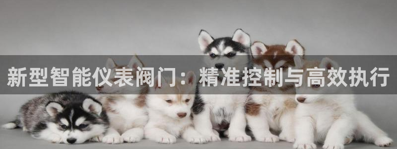 新宝gg代理