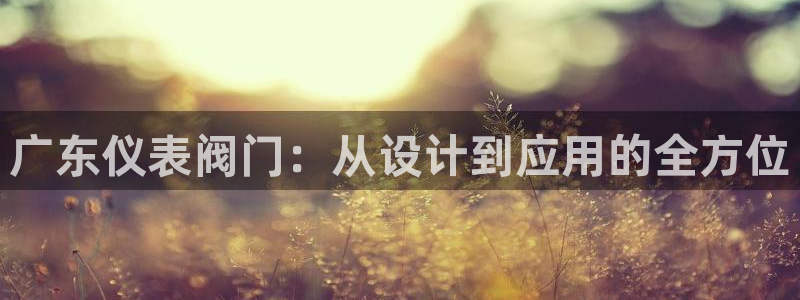新宝gg平台反水