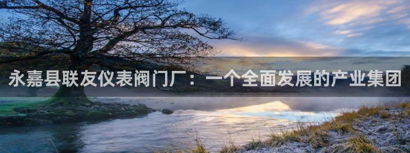 新宝gg老板