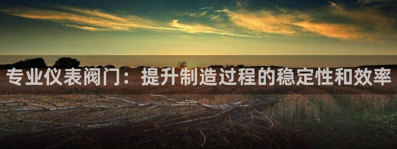 新宝gg主管