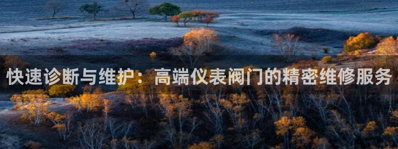 新宝GG最高返点多少