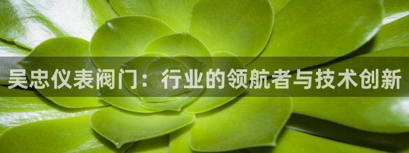 新宝GG最高返点多少