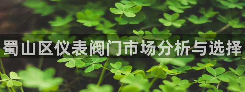 新宝gg漏洞