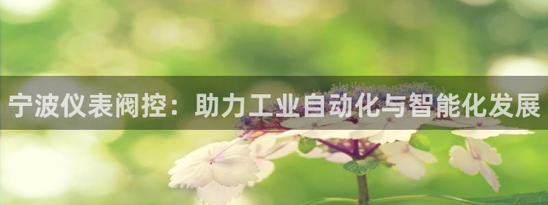 新宝gg 奇迹