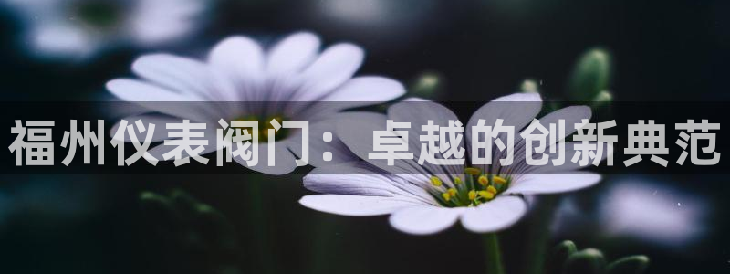 新宝gg网投
