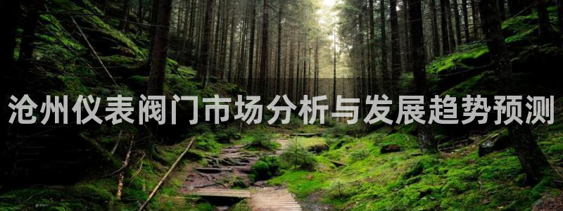新宝 gg 登