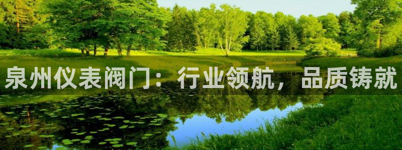 新宝gg直
