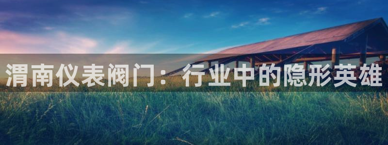 新宝gg ios下载