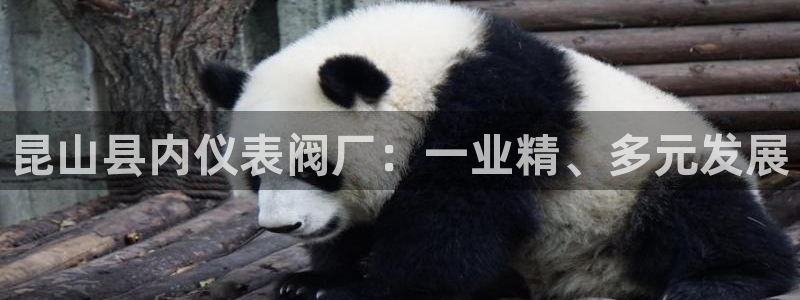 新宝gg如何做到总代理