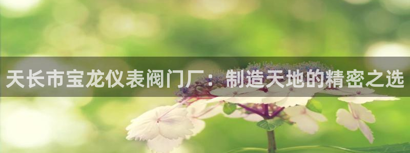 新宝gg游戏