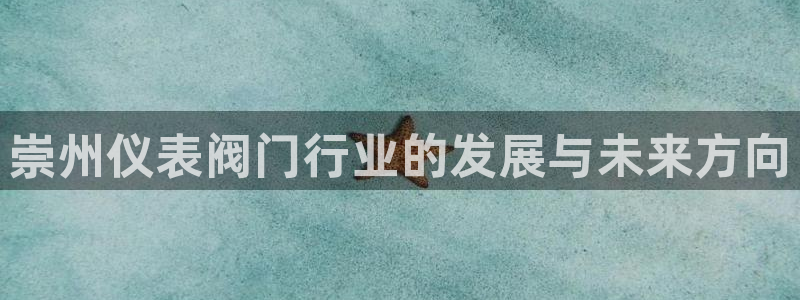 新宝gg入口网址