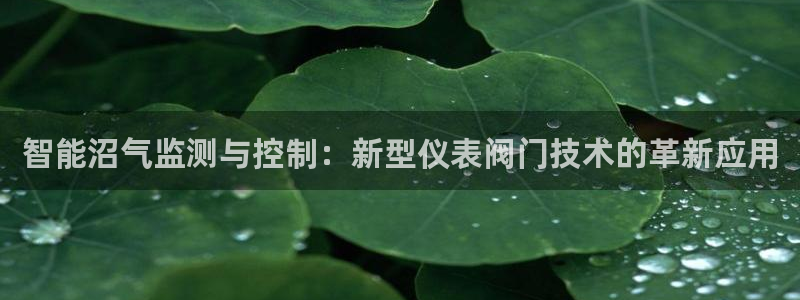 新宝gg手机版下载