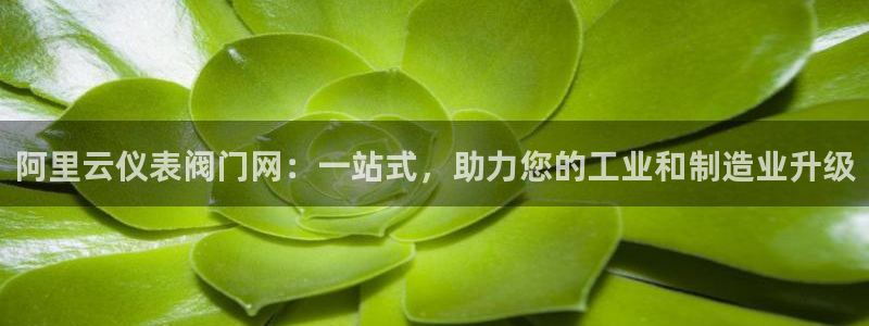 新宝集团gg