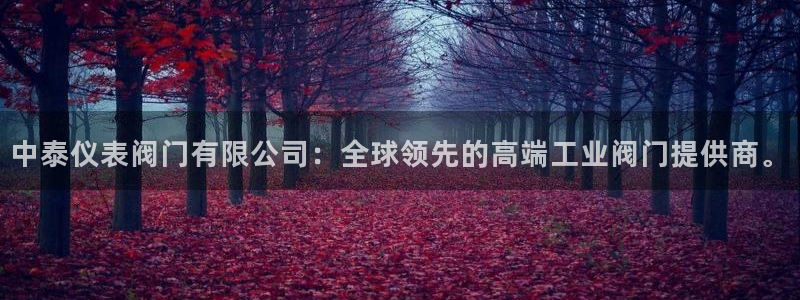 新宝gg平台登录 新宝GG