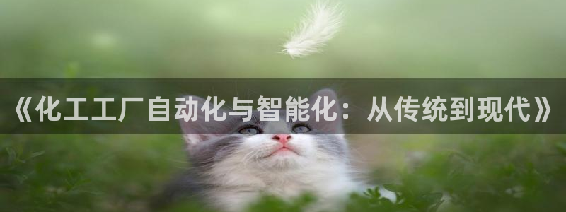 新宝gg官方主管