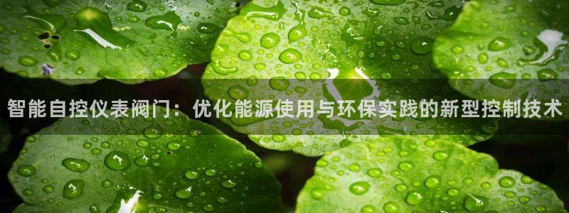 新宝gg在哪开户