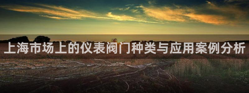 新宝GG无法充值