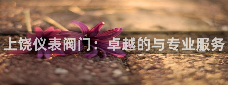 新宝gg怎么做代理