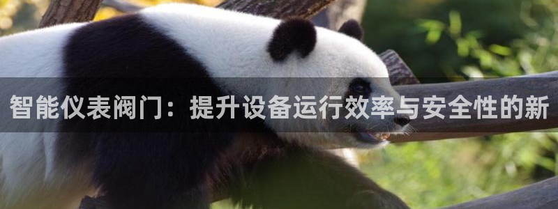 新宝gg有规律么