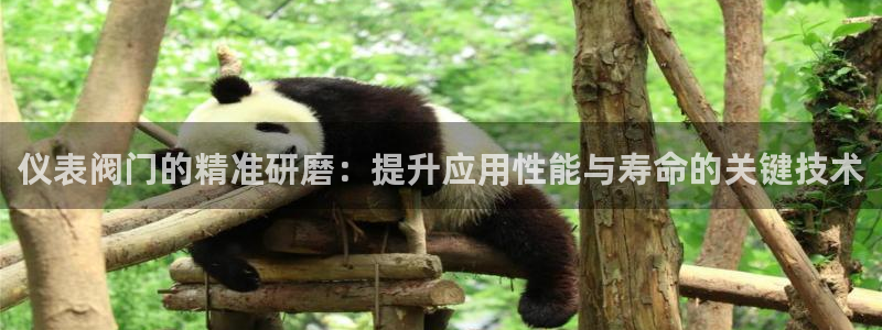 新宝GG—创造奇迹