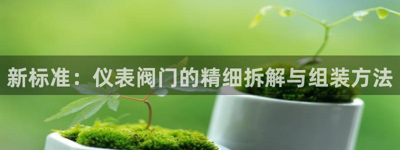 新宝gg官方下载