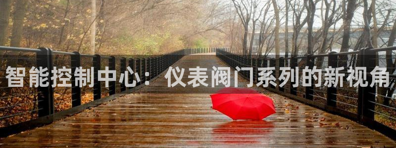 新宝gg平台注册