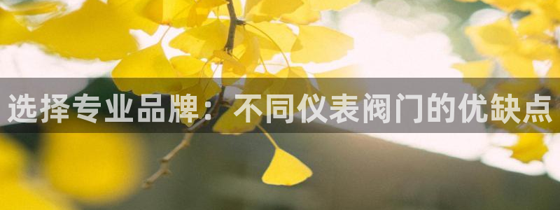 新宝新宝gg开户流程