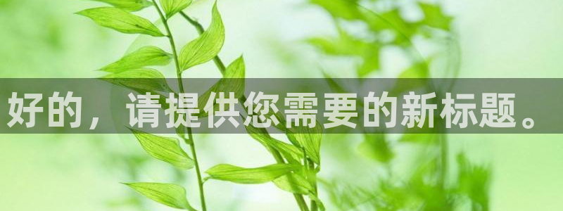 新宝gg龙虎规则