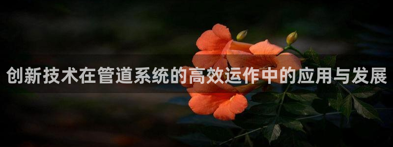gg新宝时时彩