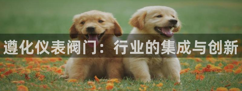 新宝gg娱乐注册