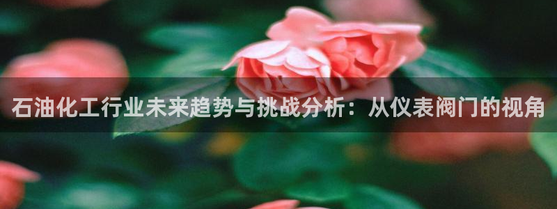 新宝gg代理条件