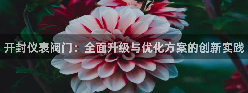 新宝gg手机注册官网